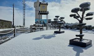 Neve