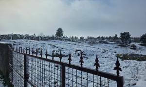 Neve