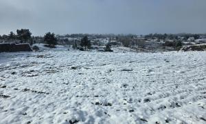 Neve